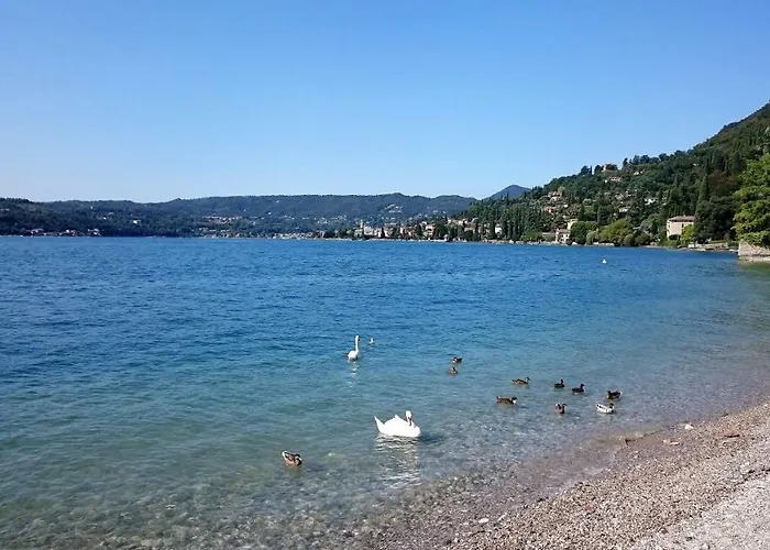 Brezza Di *
