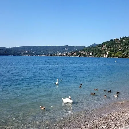 Brezza Di *