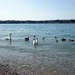 Appartamento Brezza Di